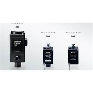 PASCAL帕斯卡液压泵X6308U-B详询  关159-0897-0566
